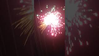 pagal diwali fireworks shyshot  Hindi firecracker shortsviral [upl. by Enyaj]