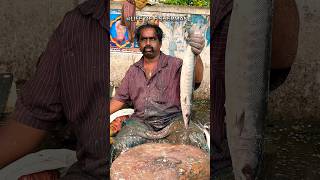 KASIMEDU🔥KUMAR BARRACUDA FISH CUTTING VIDEOkasimedufishctting fishcutting fishcuttingvideo [upl. by Reisinger]