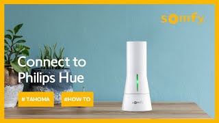 TaHoma® How To Connect to Philips Hue [upl. by Peria]