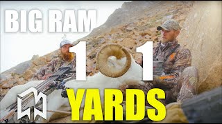 101 yard shot on a BIG RAM [upl. by Oiramel148]