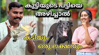 പട്ടി കടിച്ചാൽ ഒരു ലക്ഷം പോകും Dog challenge leash talks [upl. by Dalton782]