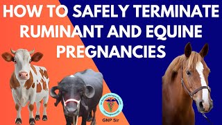 VetroMedical Termination of Pregnancy in Ruminants and Horses [upl. by Gnep]