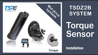 Tongsheng TSDZ2B Drive System Installation [upl. by Aralk]