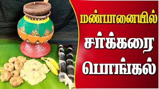 மண்பானையில் சர்க்கரை பொங்கல் செய்வது எப்படி  Sakkarai Pongal recipe in Tamil  Sweet Pongal Recipe [upl. by Teragramyram]