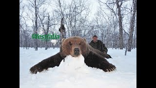 Jagd auf Auerhahn und Bär in Kamtschatka mit Westfalia Jagdreisen  Teil 2 [upl. by Snevets672]