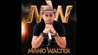 Mano Walter Agora Vai Ser Pra Valer [upl. by Elime]