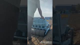 gasoline type garlic planter seeder planting machine [upl. by Silma210]