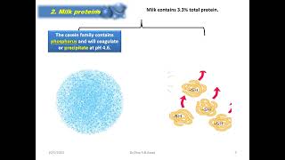 Milk composition dairy proteins 2024 [upl. by Bowerman]