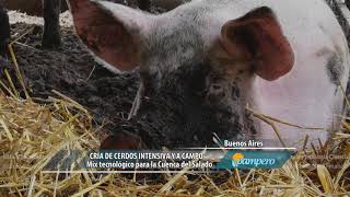 Criadero de Cerdos Cotagro  Granja 2  Avance del Obra al 682015 [upl. by Tlok]