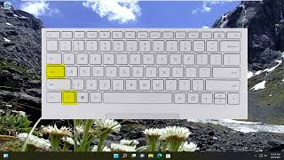 How to Enable or Disable Function Keys in Windows 1011 [upl. by Naitsirk]