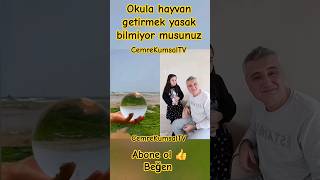 okula hayvan getirmek yasak bilmiyor musunuz 😜 [upl. by Kirkpatrick]