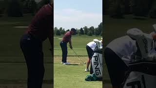 Xander Schauffele Golf Swing [upl. by Attolrahc573]