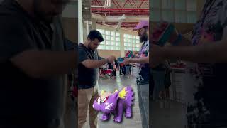 Adivina el Pokémon quienesesepokemon pokémon pokemonescarlatapurpura shorts [upl. by Renick494]