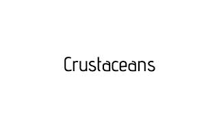 How to pronounce Crustaceans  Crustaceans pronunciation [upl. by Esil287]