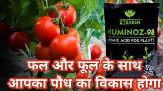 humic acid 98humic acid kam kaise Karta hai aur paudhe Ko growth kaise karta hai [upl. by Blakelee544]