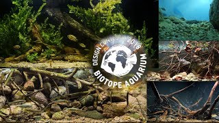 Biotope aquarium design contest 2018 all aquariums [upl. by Aneis]