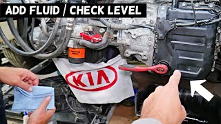 HOW TO ADD CHECK TRANSMISSION FLUID LEVEL ON KIA FORTE OPTIMA RIO SOUL SORENTO SPORTAGE [upl. by Leinnad]