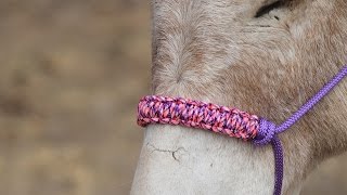 How to make a braided paracord noseband for a horse halter Step by step instructions [upl. by Mayworm]