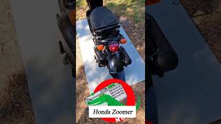 Honda Zoomer стокмото [upl. by Anais]