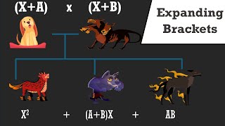 Expanding Brackets  The Non Boring Math Textbook  v2 [upl. by Eanehs556]