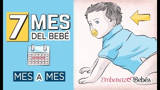 📆👶🏻 SÉPTIMO MES del bebé  7 MES  Desarrollo y cuidados [upl. by Yalc]