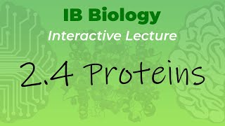 IB Biology 24  Proteins  Interactive Lecture [upl. by Ahseyk]