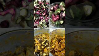 food bloggers fooder cooking vlooger hindisong recipe vloogers indiansong minivlog vlogster [upl. by Aerdnaed]