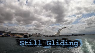 Mindless Paresthesia  Still Gliding [upl. by Nereen]