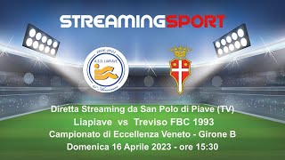 LIAPIAVE vs TREVISO FBC 1993 [upl. by Seagraves]