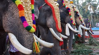 Kerala traditional Village Festival  Panchavadyam [upl. by Kipton]