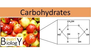 Carbohydrates regular biology [upl. by Yahsel487]