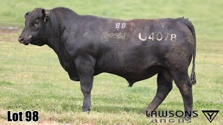 Lot 98 Lawsons Veracious VLY23U4078 [upl. by Connel]