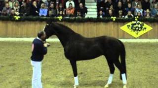 Blue Hors Don Olymbrio SJazz x Ferro [upl. by Plante]