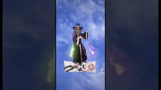 Wizard Rap The Best Most Funny Wizard Music Video on YouTube [upl. by Enillebyam692]