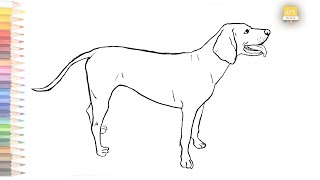 Redbone coonhound dog outline drawing  How to draw Redbone coonhound dog drawing  artjanag [upl. by Elum]