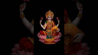 Om jai laxmi mata Aarti 😍maa laxmi shorts shortvideo love jaimatadi maa songs music laxmi [upl. by Mahgirb]