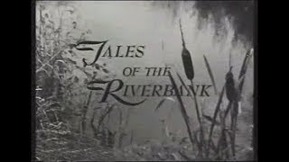 Tales of the River bank Early 1960s tv show [upl. by Lissie]