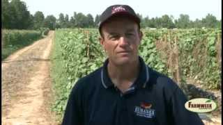 Eubanks Produce Farm quotOur Farm Your Gardenquot Farmweek TV [upl. by Matelda107]