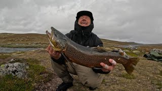 Fluefiske på Hardangervidda 2024 [upl. by Shriver]