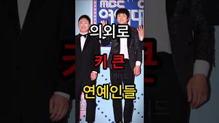 의외로 키 큰 연예인들 키 연예인 하정우 김다미 신혜선 조진웅 강동원 성장 성장일기 모델 키크는법 키크는운동 정경호 [upl. by Ayk645]