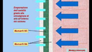 Mursansrlit  Prodotti e soluzioni contro lumidità e le muffe sui muri di casa  Deumidificazione [upl. by Remmer]