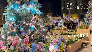 【DINKs アラフォー共働き夫婦の日常】vlog63クリスマスイルミネーション散歩年末の過ごし方 [upl. by Grevera]