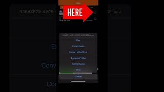 Export Audio Only On CapCut App  IOS amp Android [upl. by Roxy]