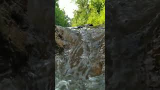 Beautiful water flowing  water flowing  waterflow waterflowsound shorts [upl. by Davenport]