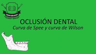 Planos de oclusión dental EXPLICADO EN 3D Curva de Spee Curva de Wilson [upl. by Yevre]