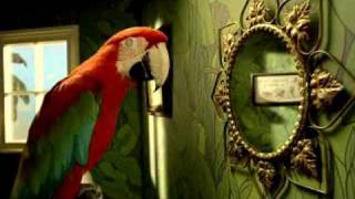 Lilt Parrot Radio  Mirror [upl. by Janeczka475]