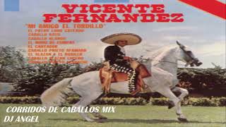 VICENTE FERNANDEZ CORRIDOS DE CABALLOS MIX vicentefernandezexitos [upl. by Kcired]