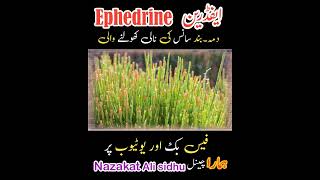 Ephedrine ephedra medicine treatment therapy [upl. by Villiers]