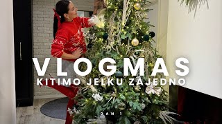 VLOGMAS  Kitimo jelku zajedno dayone [upl. by Elvin]