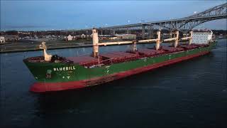 BLUEBILL  Downbound Port Huron Michigan 11252023 [upl. by Nadruoj929]